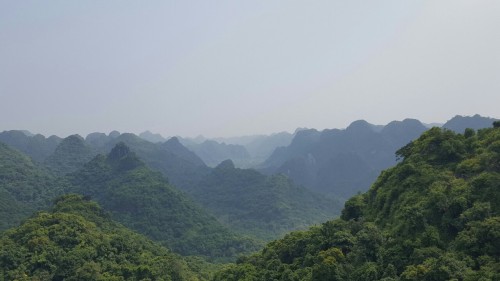 thesundaymorningvibes:Breathtaking views from a peak in Cát Bà national park. The geology here looks