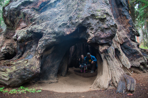 While we were hiking in the Giant Sequoias there was a torrential downpour and a lightning storm. Th