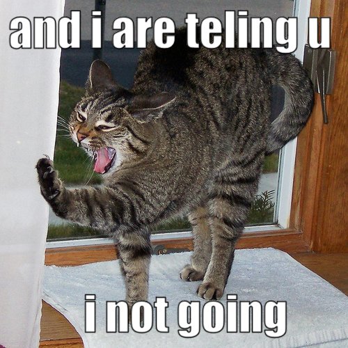 seananmcguire: sophiaslittleblog:  tzikeh:  owl-librarian:  sasgalula:  coolcatgroup: