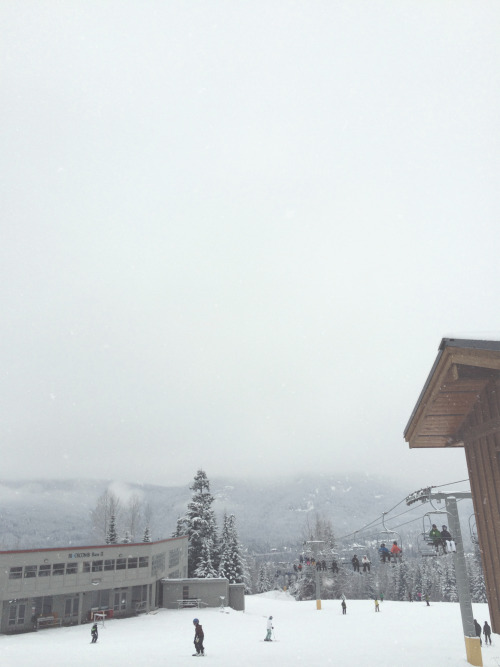 wo-nderland:  It’s so pretty 