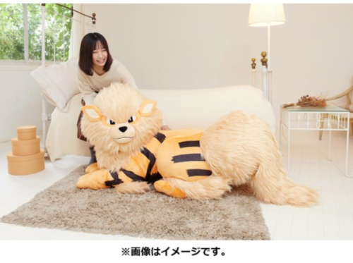 Pokemon Center Arcanine plush bedPreorder only from Sep 24 - Oct 31st 202149,500 YenPictures and pro