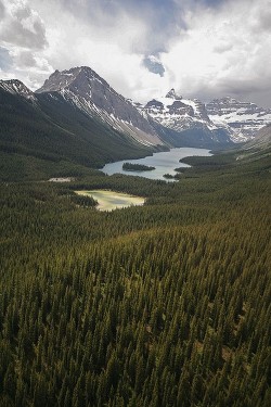 wonderous-world:  Canada by Al Power