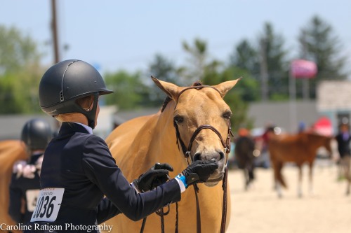 horse-neigh:  Maddie Schaefer and Sports CastDevon 2015 © Caroline Ratigan