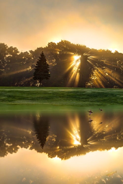 sublim-ature:  Cornwall County, EnglandSergio Smiriglio 