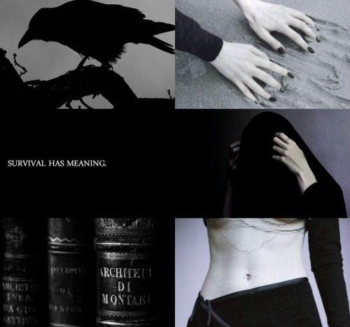 chantrymouse: character aesthetics (4/?) ▶▶ Morrigan“Not all in the Wilds are monsters; flowers grow
