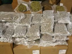 weedporndaily:  47 pounds of marijuana seized in Gulf Breeze(PNJ) The Santa Rosa County Sheriff’s Office seized nearly 50 pounds of marijuana Wednesday afternoon in Gulf Breeze, estimated at a street value of more than 贄,000, according to Sheriff’s