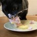 catasters: