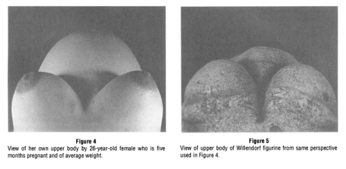 gowns: evidence that ancient paleolithic venus statues were made by women who were examining their o