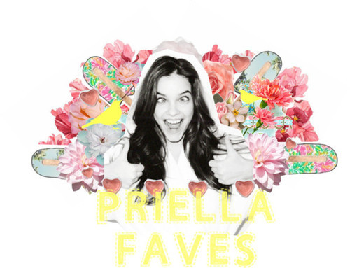 priella:  ╰☆╮╰☆╮╰☆╮╰☆╮╰☆╮╰☆╮╰☆╮╰☆╮ people always ask me for good blog to follow so im finally making