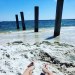 karadeespiggies:What a beautiful viewOnlyFans