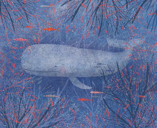 WhaleArt Prints & Cards available here