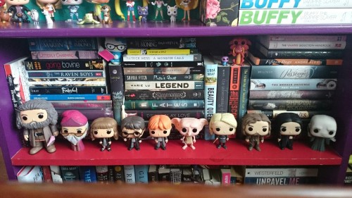 meganxking:  I painted a new book shelf (the green one) and so I reorganized my book and funko collection last night and I’m obsessed honestly 