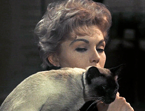 boydswan:Kim Novak in Bell Book and Candle (1958)