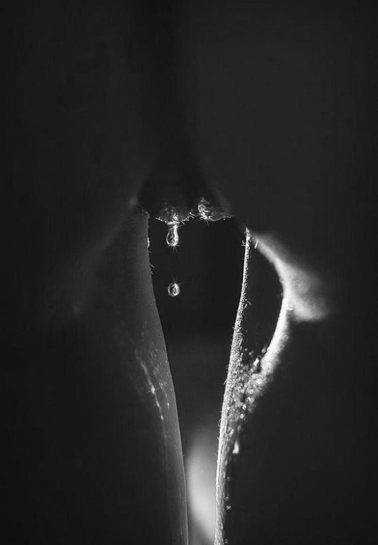 Random images of love and lust ..