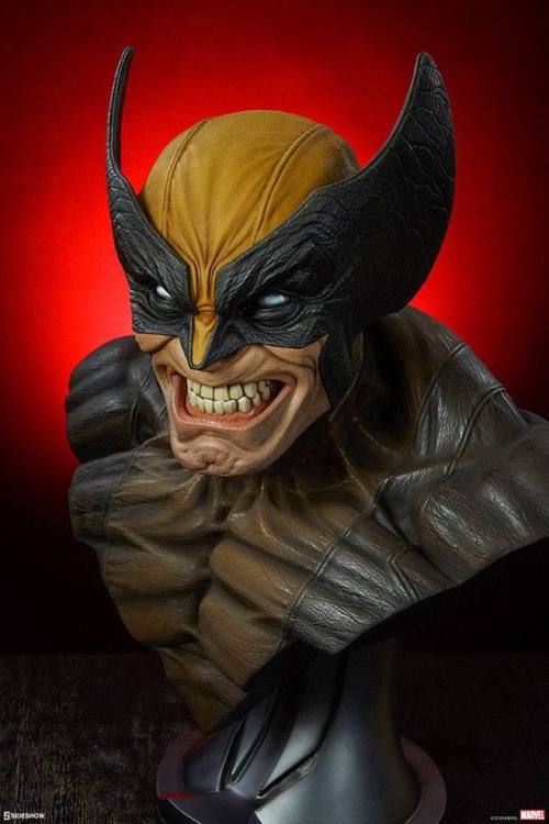 Porn haxanbelial:  Wolverine life-size bust by photos