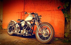 bobberinspiration:  Bobbed Shovelhead