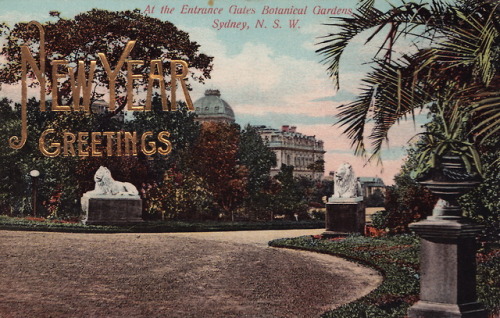 New Year Greetings from the Sydney Botanical Gardens, Australia, in 1908.(Royal Australian Historica