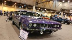 Muscle Cars Pics