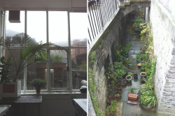 patentpeach:  A post of things today - plants in the print rooms and a castle hidden in cloud, plants in front of my neighbours flat 