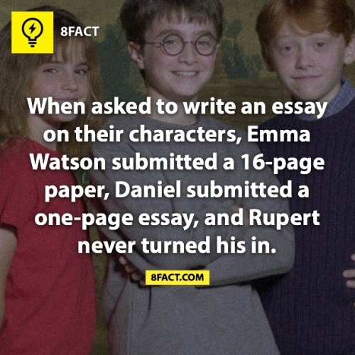 meinefluchderzeit:  Harry Potter Facts 