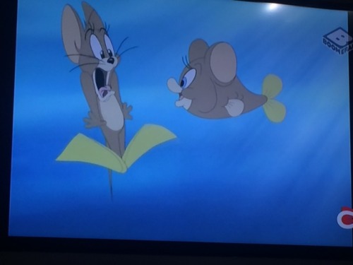 One Of The Funny Scenes Of Tom And Jerry Tales Series