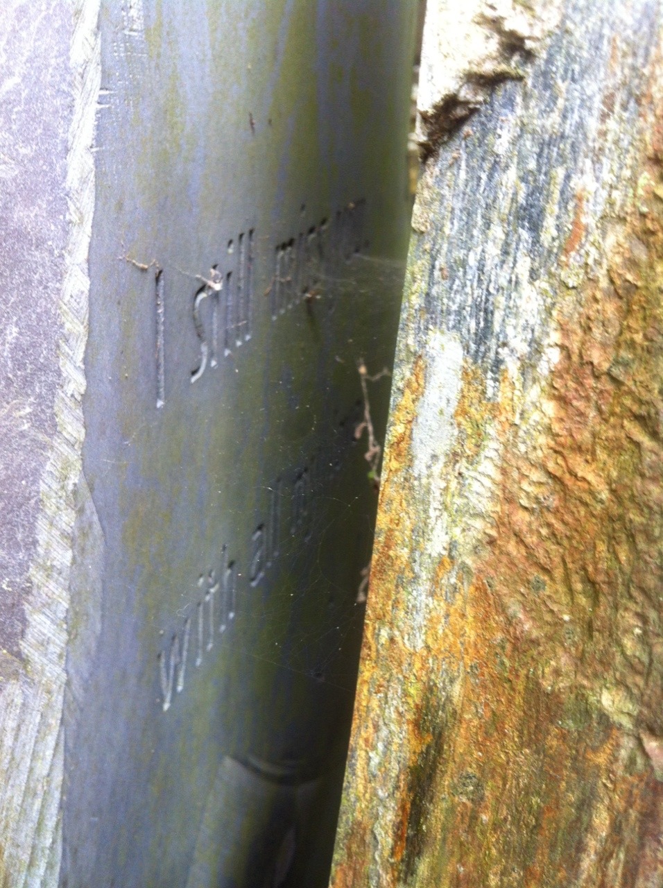 anti-biotico:  Yesterday I went to Highgate Cemetery in London and I saw this grave