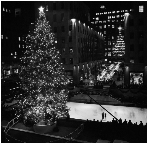 Tree at Rock Center_December 19, 1969