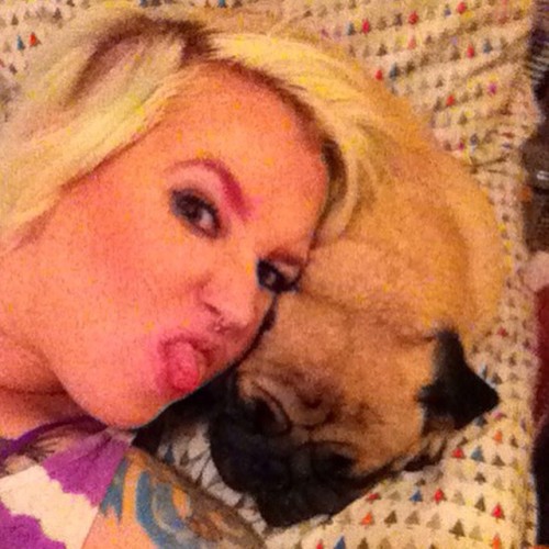 Pug pillow! #gizmopug #pug #puglife #pugsofinstagram