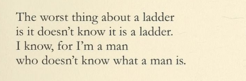 Homero Aridjis, ‘Images on a Ladder’ (trans. George McWhirter), Ojos, de Otro Mirar / Eyes to See Ot