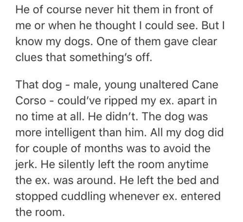 hmsindecision:feeltheberd:im cryingDo you know how many dogs I’ve met that get scared or anxio