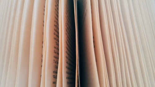 bvkspine:  “As the hours crept by, the afternoon sunlight bleached all the books on the shelves to pale, gilded versions of themselves and warmed the paper and ink inside the covers so that the smell of unread words hung in the air.” - Maggie Stiefvater 