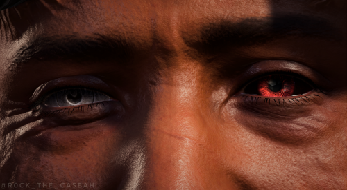 A Short Series With Companions' Eyes