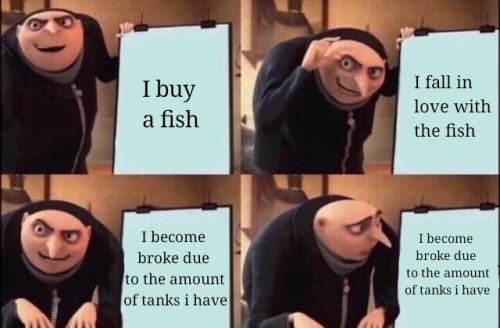 aquaticalex:i felt like we all needed a call out post
