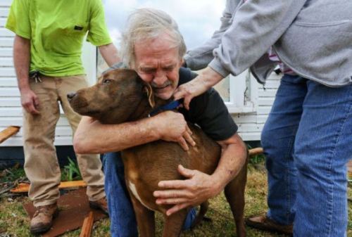 Porn Man find his dog after a hurricane, or something… photos