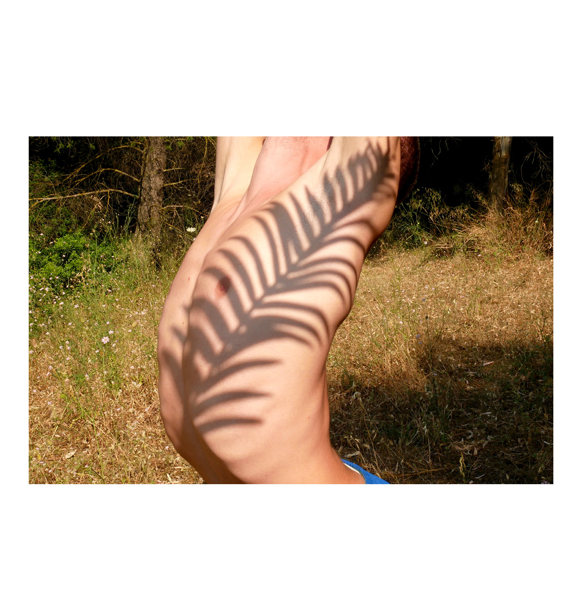 kostisfokas:  Kostis Fokas 2018