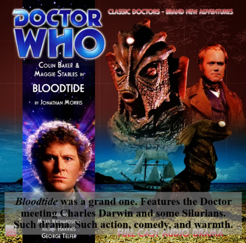 Bloodtide was a grand one. Features the Doctor meeting Charles Darwin and some Silurians. Such drama