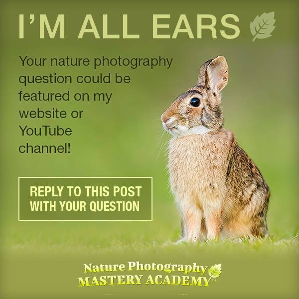 Reply to this post with your nature photography questions #NaturePhotography #Photography http://ift.tt/2ierW1s