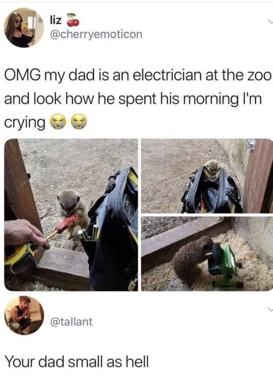 He’s got his little helpers thoooo ♥️