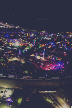 rave-republic:   EDC 2013  | Rukes 