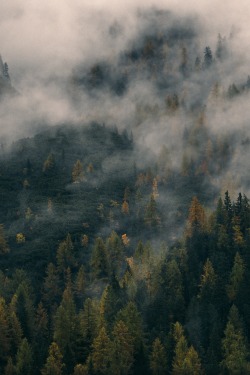 lvndscpe: Dolomites, Italy | by Vadim Sherbakov This photo as wallpaper on your Android device? Get the app now! 