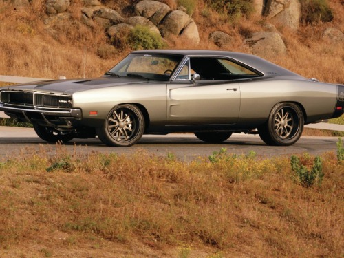 musclecarsfans:  Follow For Muscle Cars Everyday