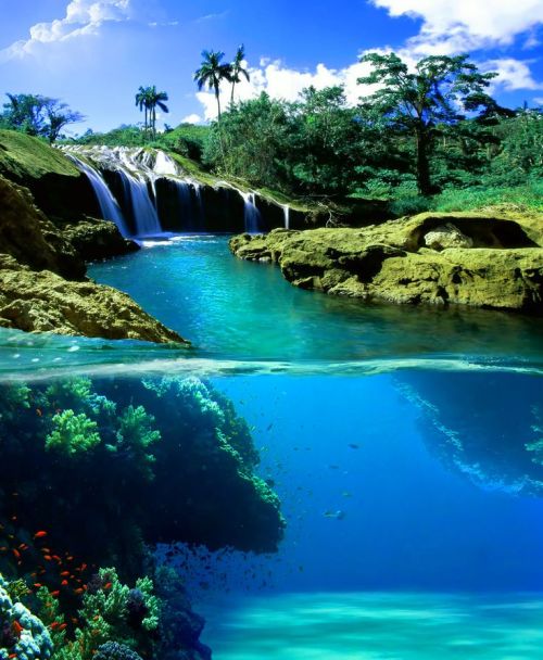 southern-sweetie1: tropicaldestinations: Breathtaking Split View Waterfall, Hawaii - Tropical Destin