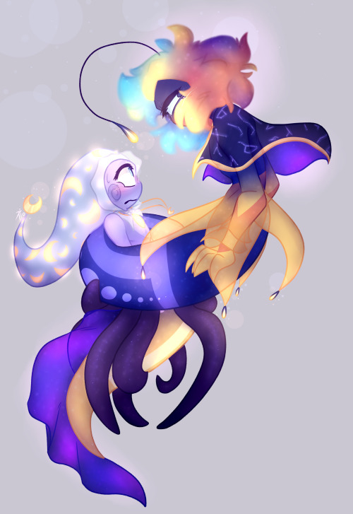 Gay Fysh