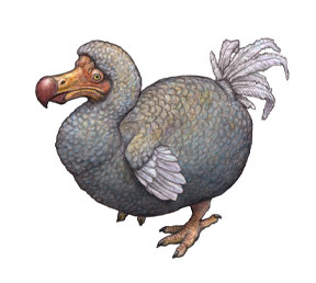 Takara Encyclopedia mystery Eternal Lost Breeds Extinct Animal Dodo 