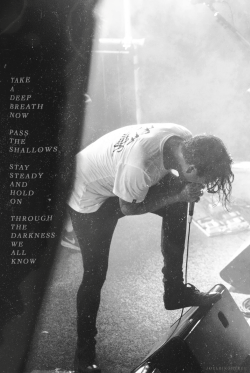 joelbirchtree:  the amity affliction : flowerbomb