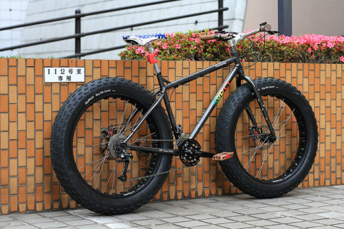 lakolle: Awesome bike!