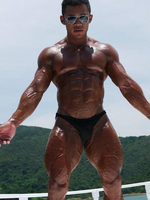 musclecomposition:Bodybuilder, Lee Terry
