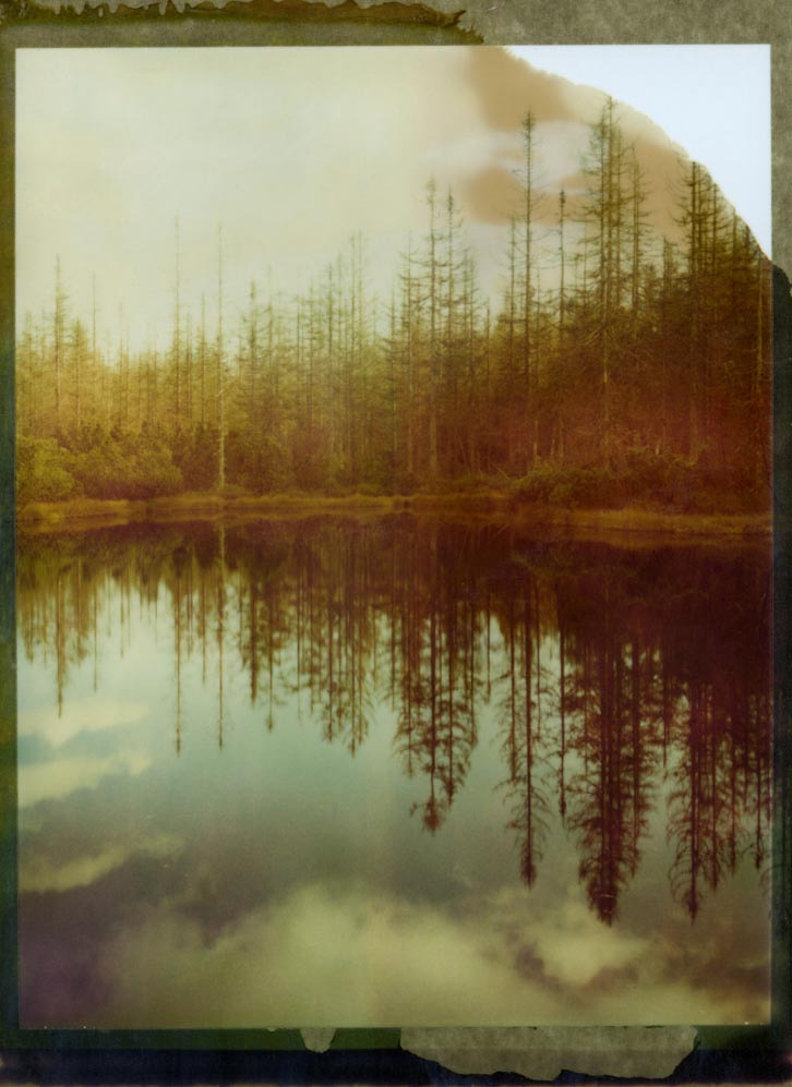 thispaintedbeanr:  foxmouth:  Polaroid Landscape Photography by Bastian K 80  thelife.