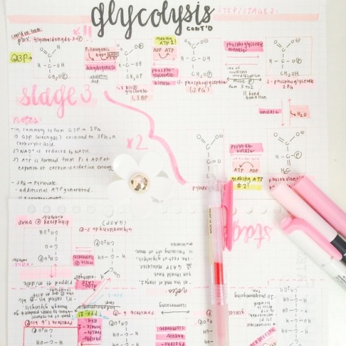 Biochemistry charts 