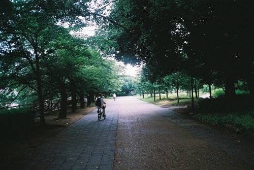 Feeling a bit shady after our epic encounters, we decided that a trip to Osaka castle might help cle